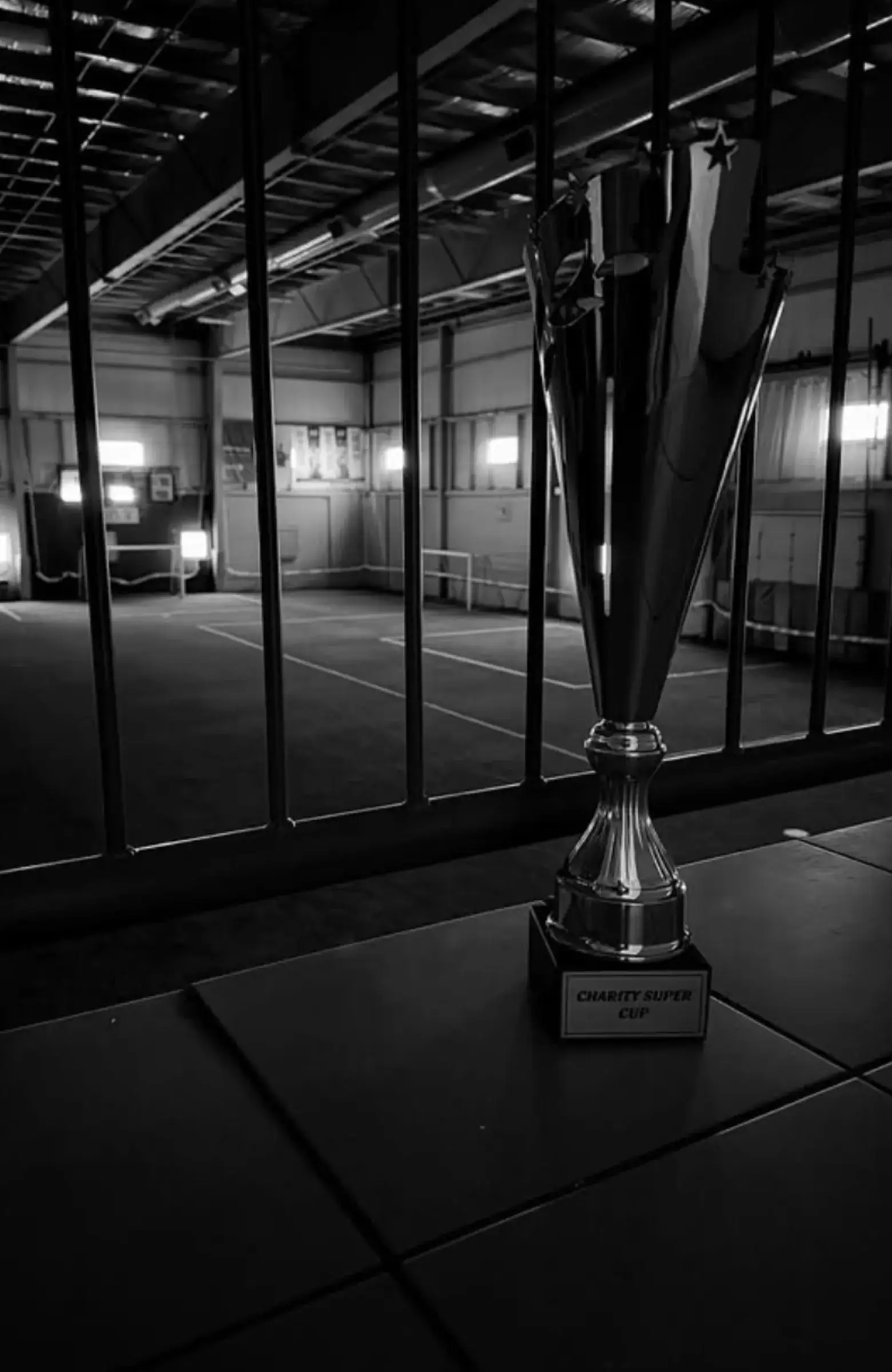 The Charity Super Cup trophy on the pitch